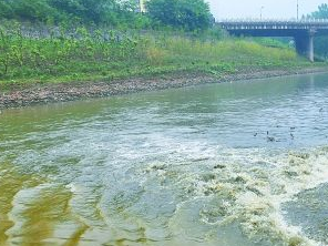 保定顺平污水清运多少钱